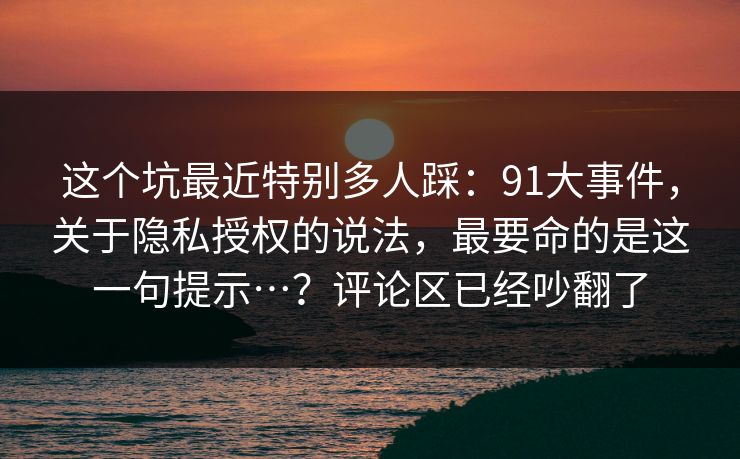 这个坑最近特别多人踩：91大事件，关于隐私授权的说法，最要命的是这一句提示…？评论区已经吵翻了  第1张