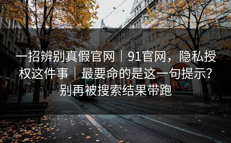 一招辨别真假官网｜91官网，隐私授权这件事｜最要命的是这一句提示？别再被搜索结果带跑  第1张